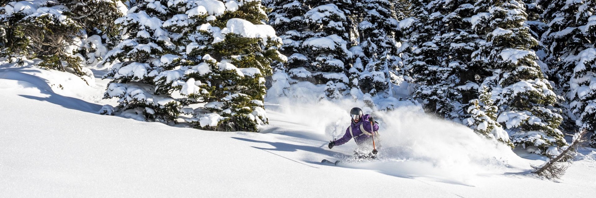 Photo: Tourism Whistler/Ben Girardi