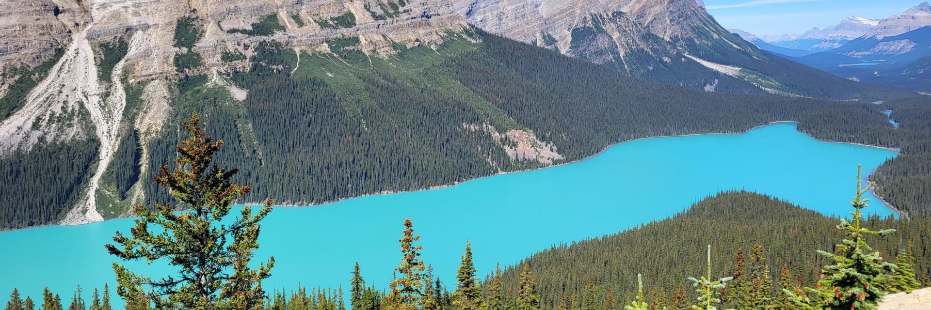 Peyto Lake, Icefields Parkway