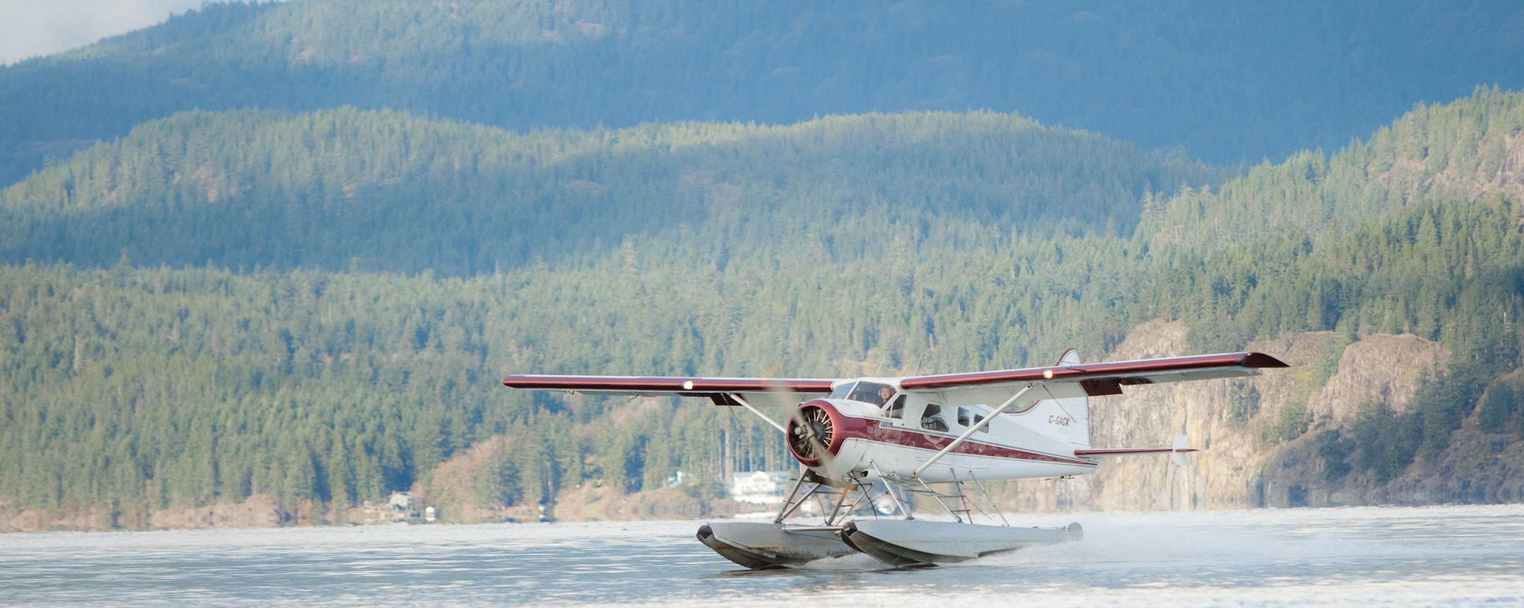Beaver header 2