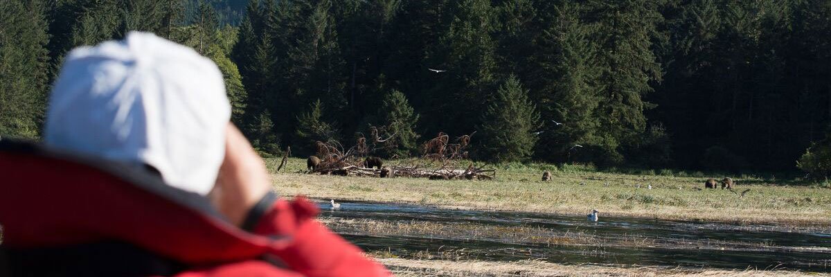 Knight Inlet Lodge beren in de verte