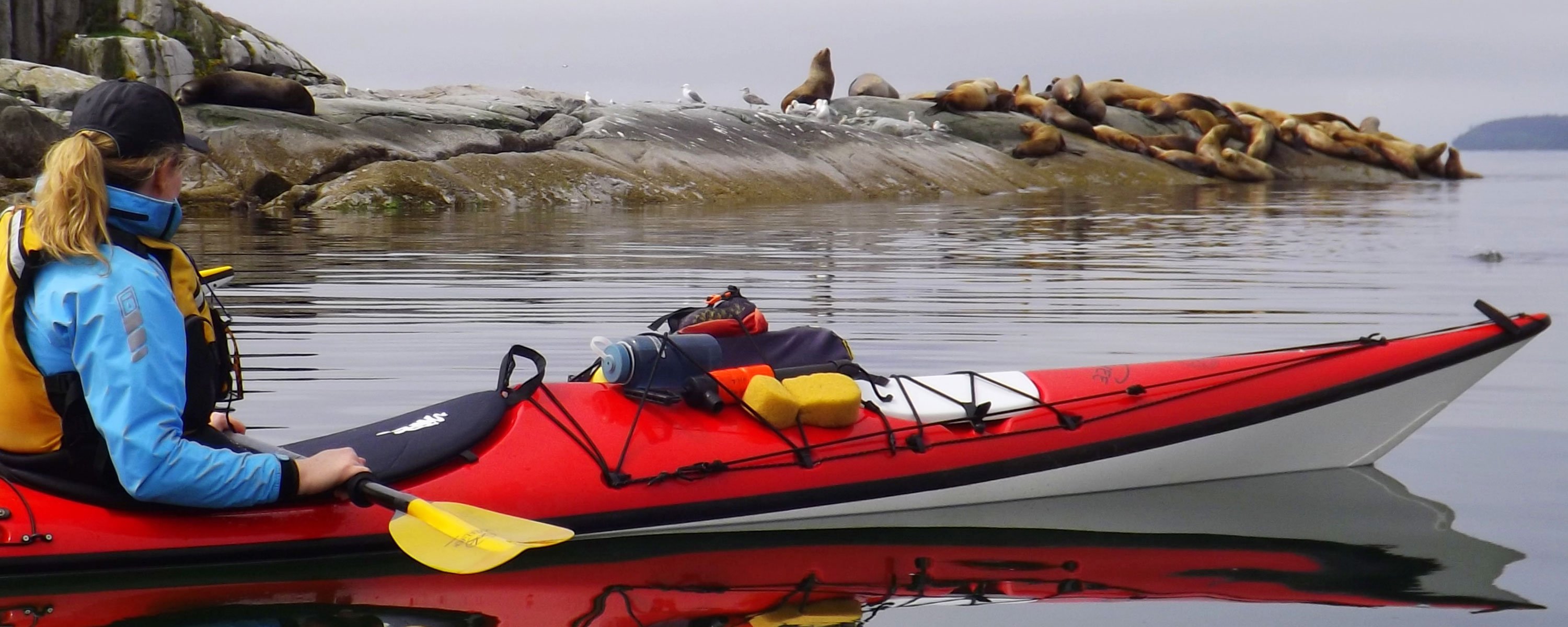 Highlights kayak