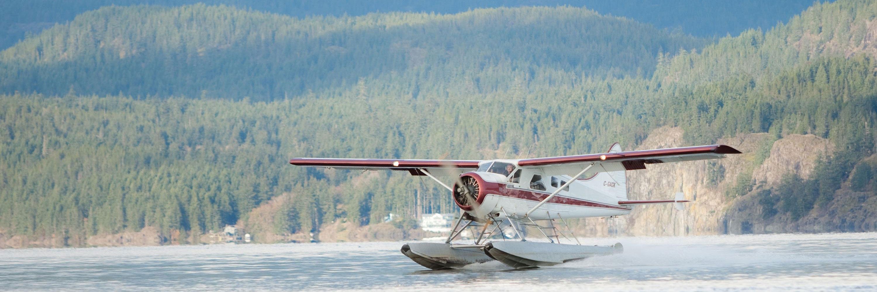 Beaver header 2