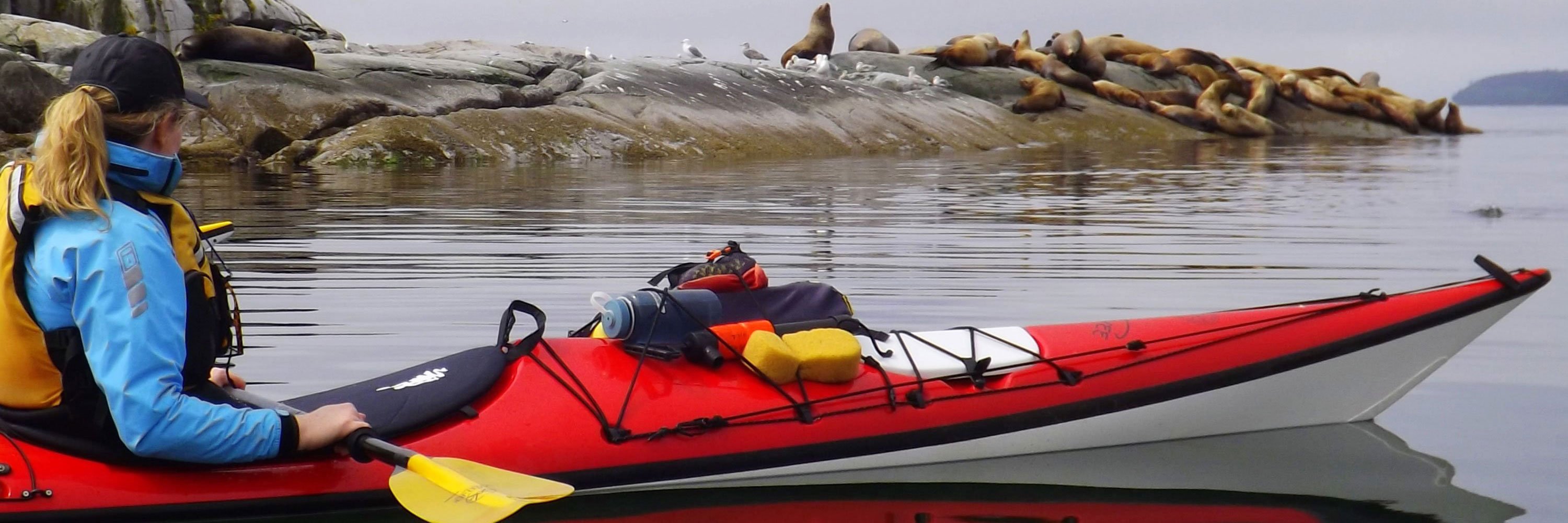 Highlights kayak