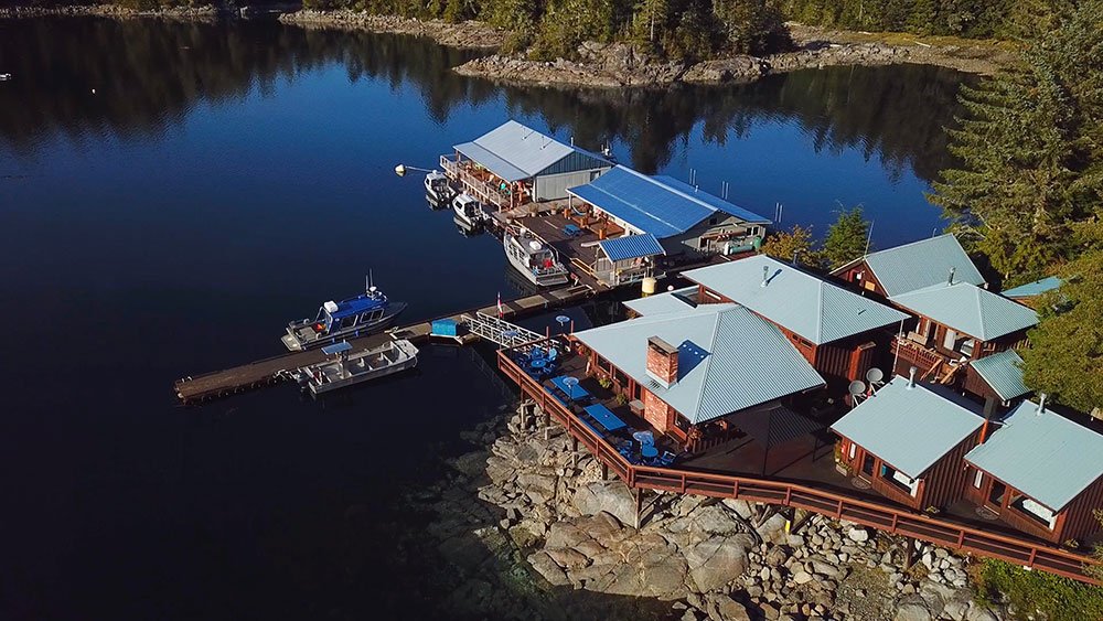 De Farewell Harbour Loge bevindt zich op Berry Island ten oosten van Vancouver Island. De watertaxi haalt u op in Alder Bay vlakbij Telegraph Cove. Daar kunt u veilig uw auto of camper parkeren. De standaard arrangement zijn vier dagen, maar er zijn ook 5- en 6-daagse arrangementen te boeken. De beste tijd voor beren is eind augustus tot begin oktober maar ook in juni, juli en begin augustus worden er al beren gezien. Juni is ook fantastisch voor kajakken tussen de walvissen. Vraag ons naar alle mogelijkheden.
Wilt u verhalen horen gebaseerd op persoonlijke ervaringen? Vraag even naar Astrid, Jessica of Suzanne. Zij zijn naar de lodge geweest en kunnen u er alles over vertellen.