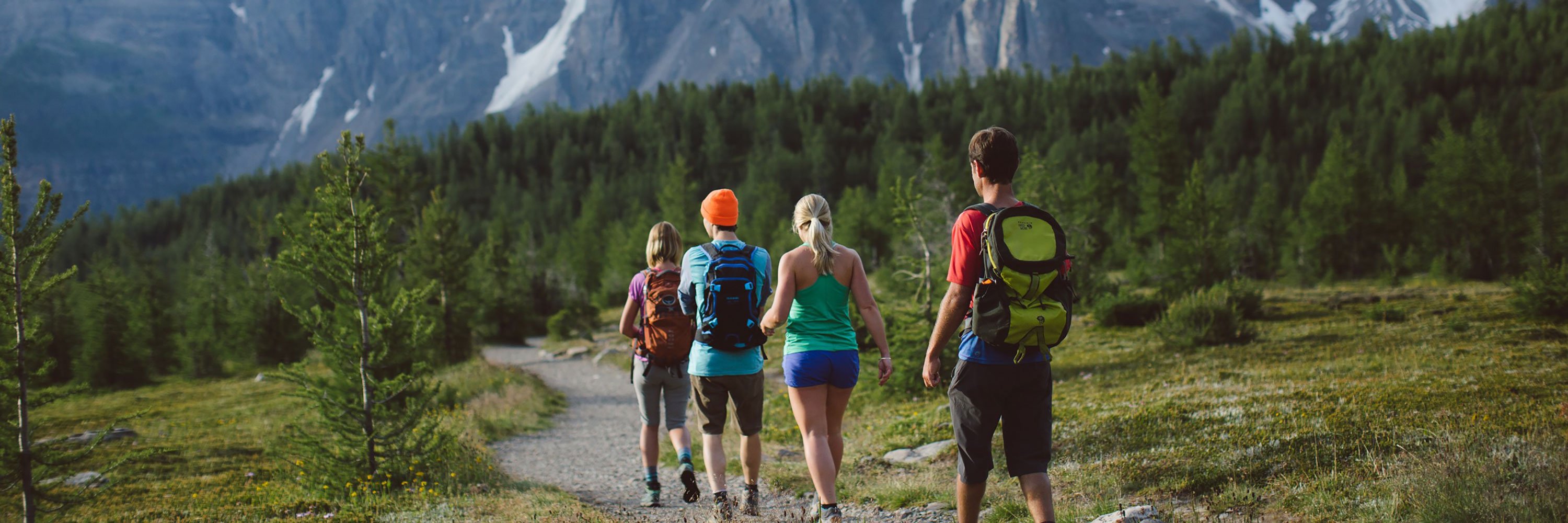 Hiking header 1