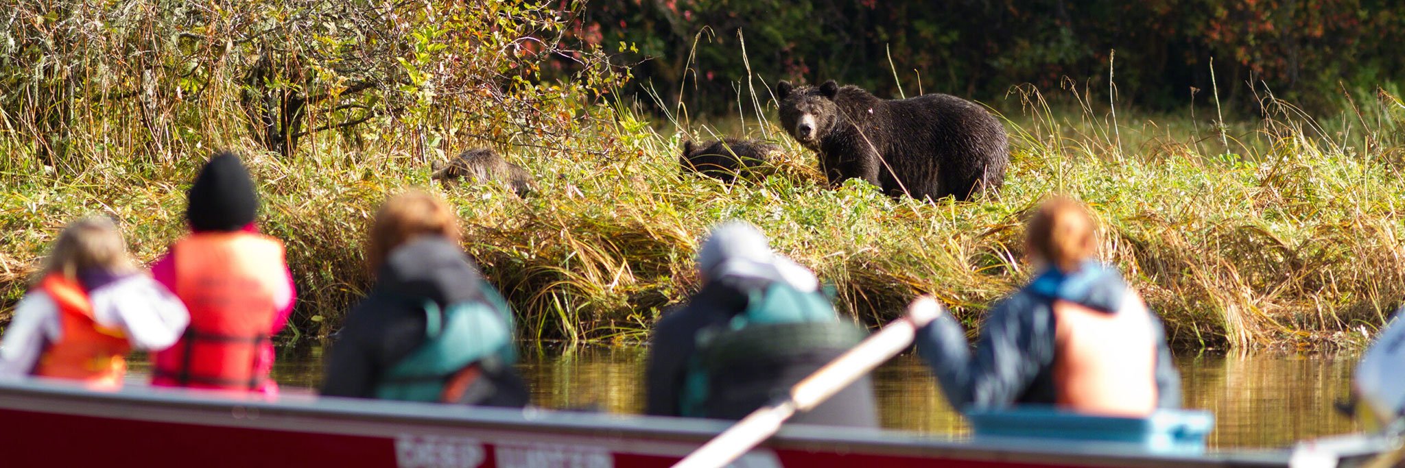 The Great Bear Lodge beer vanuit boot