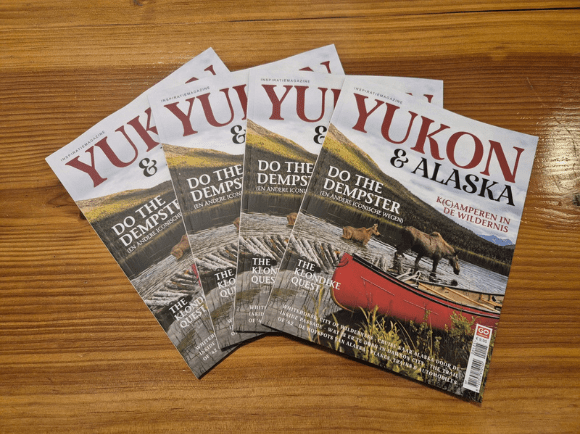 <i>4 november 2025</i>

Er zijn een hele hoop leuke dingen te doen in een mensenleven… Zoals zwemmen, dansen, vachtvilten en naar Canada reizen. Er zijn ook een hoop leuke manieren om je belevenissen en foto’s aan de man te brengen. Zoals Facebooken, Polarsteppen en Instagrammen. Maar voor diegenen die ‘de socials’ soms moe zijn en graag iets concreets in handen hebben, maakt GoCanada de afgelopen jaren magazines. Zo maakten we een editie over Canada, en een over Vancouver Island. De afgelopen maanden hebben we heel hard gewerkt aan een Yukon editie met een beetje Alaska erin. Maanden?? Ja het vergt nogal wat tijd tussen het offreren en reserveren van mooie reizen door. Zo’n magazine maken schaar ik toch óók wel onder een van mijn hobby’s hoor! Vroeger, op de middelbare school, richtte ik samen met een paar zussen de schoolkrant op. En werden er hele cabaret-school-voorstellingen bij elkaar bedacht en geschreven. Reisdagboeken vol gekladderd met avonturen liggen thuis te zwijgen in de boekenkast.

Stoere belevenissen tijdens onze afgelopen Yukontrip op papier zetten kostte ook aardig wat tijd maar een opzet daarvoor maakte ik al aan de dinette van de truck camper, camperend naast de Dempster in een sneeuwstorm met -4. Research doen naar die beren of ze nou echt wel al ‘die besjes of zalmen eten’ in de maand september, vergt ook tijd. We lezen elkaars teksten, vullen zaken aan, hebben hier en daar een punt van opbouwende kritiek. Fantastisch om dit samen met de collega’s te doen.

Foto’s! Dan die foto’s!
Die ene van dat scheve huisje in Dawson daar moest het kader iets meer naar rechts. 
De zin om op reis te gaan moet er vanaf spatten bij elke bladzijde die je openslaat. Maar dat vlotte nog niet zo bij de eerste proefdruk. Want het avontuur spat er nog niet van af, de prut ook niet. Maar teveel prut en sneeuwstormen ‘verkoopt’ ook niet lekker. Dus oude foto’s eruit, nieuwe erin. Wikken en wegen.
Op de tekening van de landkaart moest de poolgrens iets meer omhoog geschoven worden, daar waar ‘ie hoort. Zit het centrum van de kaart niet teveel in de vouw van het magazine? Kun je nu ‘het vlindertje’ of ‘het achtje’ wel goed zien? Alles weer terug communiceren naar de uitgever en de grafisch vormgever. We hebben nog vier dagen voordat de boel definitief naar de drukker moet. Wordt dit Yukon magazine wel zoals we in gedachten hadden? Twijfels. Nog net geen slapeloze nachten. Want je kunt het maar één keer goed doen voordat de boel definitief op papier verschijnt.
Totale paniek bij het bijna ter perse gaan als je leest dat Gerties in 1971 open ging. Daar moest toch 1917 staan? Diamond Tooth stamt namelijk uit díé tijd, uit de goedzoekerstijd. Gelukkig komt daar de geruststelling: De gokhal is vernoemd naar dé danseres met een gouden tand uit die tijd. Het staat gelukkig toch goed in de kopij. Opluchting alom!
Trots als je het magazine eenmaal in handen hebt. Zó trots dat er een traantje uit je oog komt rollen. Dat hebben we toch maar weer mooi voor elkaar gecheft tussen alle vakanties door van de redactieleden (lees Linda, Vivian, Roderick en ondergetekende).
Nou ben ik zelf niet zo van de structuur dus heel blij met de georganiseerde collega’s Vivian en Linda. Zij hielden netjes alle aanpassingen bij. Fotootje naar links, de andere foto juist meer uitsnijden. De landkaart schijnt door naar de volgende bladzijde. Of dat de camper meer in de ruimte gezet moet worden zodat je de weidsheid erom heen ziet. Die meiden hielden het allemaal keurig bij. Hulde meiden!