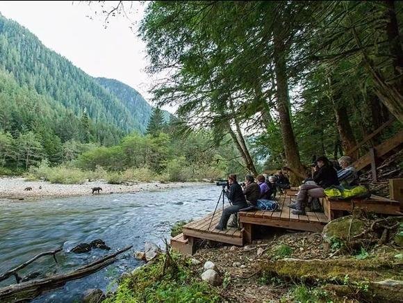 Er worden tours van 3 en van 6 nachten aangeboden en alles is bij de prijs inbegrepen. Dus inclusief watervliegtuig transfers vanaf Port Hardy, overnachtingen, maaltijden en alle excursies. Op zoek naar een unieke, kleinschalige wildernis lodge? Denk dan eens aan ‘The Great Bear Lodge’.