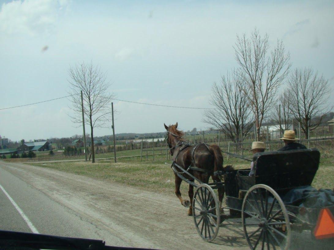 Ontario Dit is een beetje een ‘ondergeschoven’ provincie en verdient eigenlijk meer aandacht. Want er is ontzettend veel te doen: ‘Old meets New’; Mennonieten rijden nog in paardenkoetsjes (Er is zelfs een verkeersbord voor!) op een stukje gravelroad naast de geasfalteerde weg versus helikoptervluchten boven de wereldse kermis van Niagara Falls. En dan lunchen in het schattige Niagara-on-the-Lake. Op reis met de jonge jeugd? Kijk naar de schepen die door het Welland Canal varen of ga zelf met ze varen in een kano in het Algonquin Provincial Park, bezoek hoofdstad Ottawa. Ontario…? Daar kunt u met gemak 2 weken rondrijden en u hebt een zeer afwisselende reis achter de rug! Of wat denkt u van meren en Manitoulin Island, waar de invloeden van de first nations nog zichtbaar zijn?
PS: Ga tijdens een bezoek aan de CN Tower in Toronto eten in het ronddraaiend restaurant tijdens zonsondergang. Wel van te voren uw tafeltje aan het raam reserveren.
<a href=" https://www.gocanada.nl/over-canada/provincies/ontario">Lees hier meer informatie.</a>