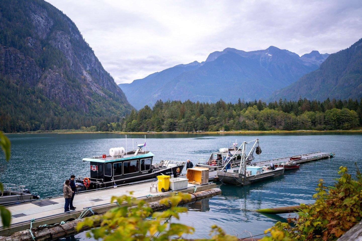 In Canada vragen ze niet of je mee gaat brommers kieken, maar of je mee gaat beren kieken!

'Is dat niet gevaarlijk dan?' is een veel gestelde vraag hier bij GoCanada. Niet als je een paar regels in acht neemt en meegaat met een begeleide excursie. En aan wie kun je dit nu beter overlaten dan aan de oorspronkelijke bewoners 
van Canada; de First Nations.
